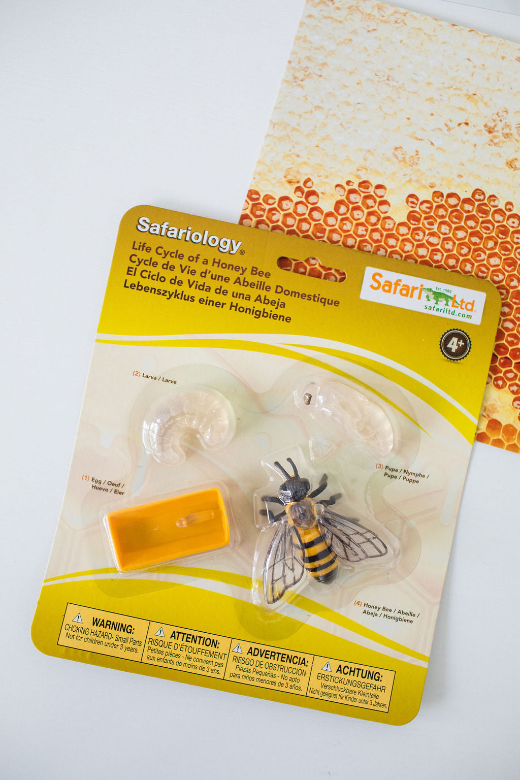 The World of Bees Kit