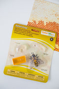 The World of Bees Kit