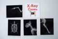 Animal Care Clinic Kit