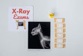 Animal Care Clinic Kit