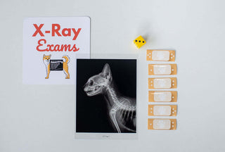 Animal Care Clinic Kit
