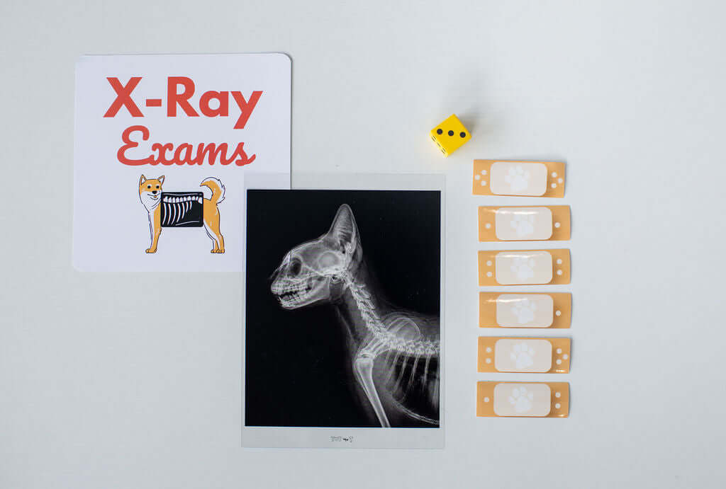 Animal Care Clinic Kit
