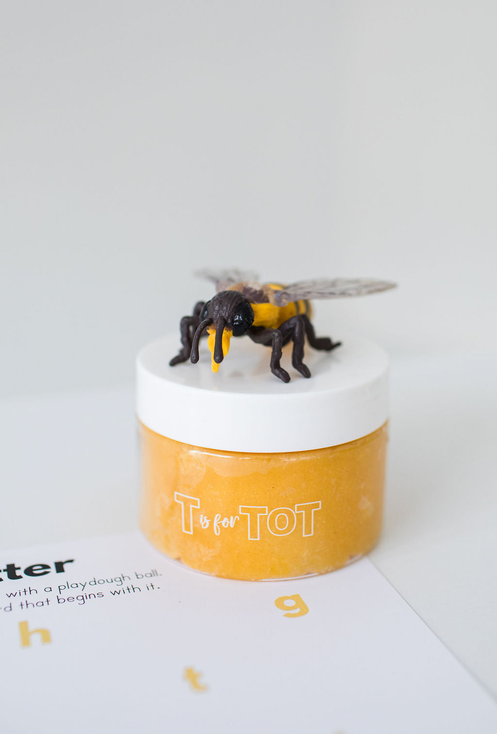 The World of Bees Kit