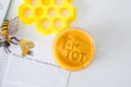 The World of Bees Kit