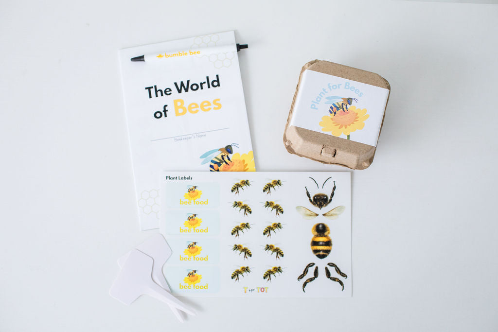 The World of Bees Kit