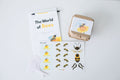 The World of Bees Kit
