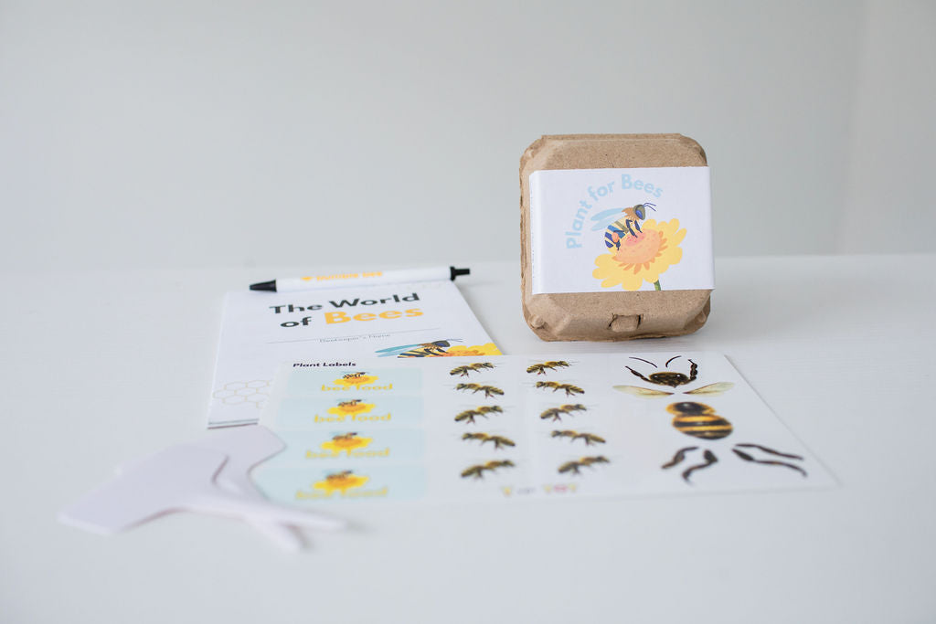 The World of Bees Kit