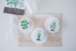 Growing Good Things Kit