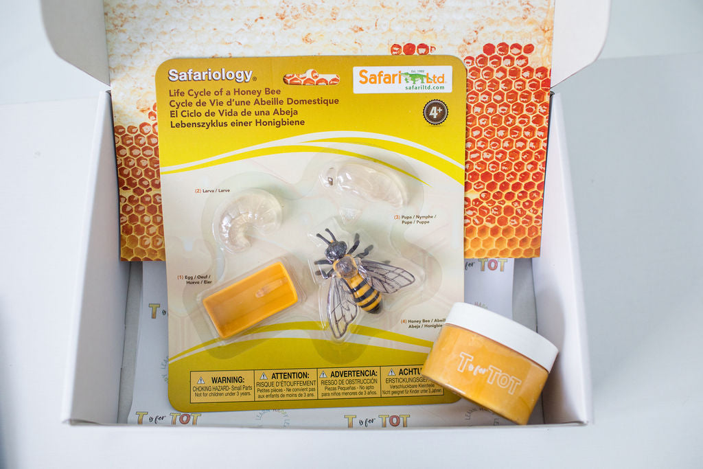 The World of Bees Kit