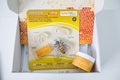 The World of Bees Kit